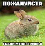 1655625743862.png