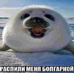 1655626289878.png