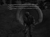 мади 3.png