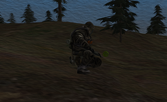 333.png
