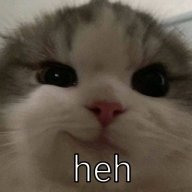 концерт