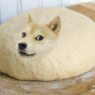d0gg3
