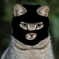 bad boy