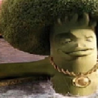 Anus