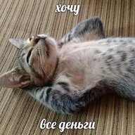 tavricheskiy.