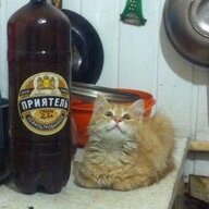 МОГИЛИЗАЦИЯ