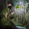 Mentov