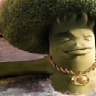 Anus